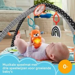 Babygym, Baby Cadeau - Jongen & Meisje, Dierenvriendjes Speelmat, Interactief Speelgoed – Multikleuren 7 Babygym, Baby Cadeau - Jongen & Meisje, Dierenvriendjes Speelmat, Interactief Speelgoed – Multikleuren -babygyms Winkel 550x550 547