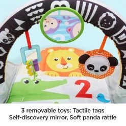 Fisher-Price 2-in-1 Activity Gym 29 Fisher-Price 2-in-1 Activity Gym -babygyms Winkel 550x550 582