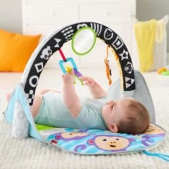 Fisher-Price 2-in-1 Activity Gym 30 Fisher-Price 2-in-1 Activity Gym -babygyms Winkel 550x550 583