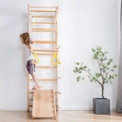 YJZQ Peuterspeelset Binnenspeeltuin Jungle Gym Set- Hout 6-in-1 Multifunctionele Klimrekken/muurbeugels/Ladderklimmer/ Glijbaan/schommel/optrekgedeelte/ Ringen-Rotsklimmen Voor Kinderen Draagvermogen 50kg 24 YJZQ Peuterspeelset Binnenspeeltuin Jungle Gym Set- Hout 6-in-1 Multifunctionele Klimrekken/muurbeugels/Ladderklimmer/ Glijbaan/schommel/optrekgedeelte/ Ringen-Rotsklimmen Voor Kinderen Draagvermogen 50kg -babygyms Winkel 550x550 69