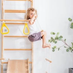 YJZQ Peuterspeelset Binnenspeeltuin Jungle Gym Set- Hout 6-in-1 Multifunctionele Klimrekken/muurbeugels/Ladderklimmer/ Glijbaan/schommel/optrekgedeelte/ Ringen-Rotsklimmen Voor Kinderen Draagvermogen 50kg 27 YJZQ Peuterspeelset Binnenspeeltuin Jungle Gym Set- Hout 6-in-1 Multifunctionele Klimrekken/muurbeugels/Ladderklimmer/ Glijbaan/schommel/optrekgedeelte/ Ringen-Rotsklimmen Voor Kinderen Draagvermogen 50kg -babygyms Winkel 550x550 72