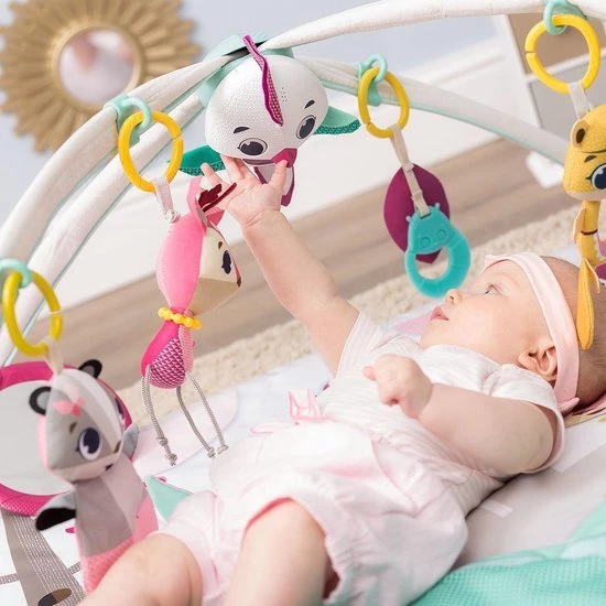 Tiny Love Deluxe Babygym - Princess Tales - Roze 20 Tiny Love Deluxe Babygym - Princess Tales - Roze - Afbeelding 20