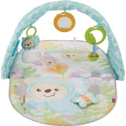Fisher-Price Vlinderdromen Gym -babygyms Winkel 550x555 1