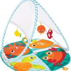 Fisher-Price Fisher Price Draagbare Gym