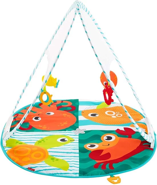 Fisher-Price Fisher Price Draagbare Gym 4 Fisher-Price Fisher Price Draagbare Gym - Afbeelding 4