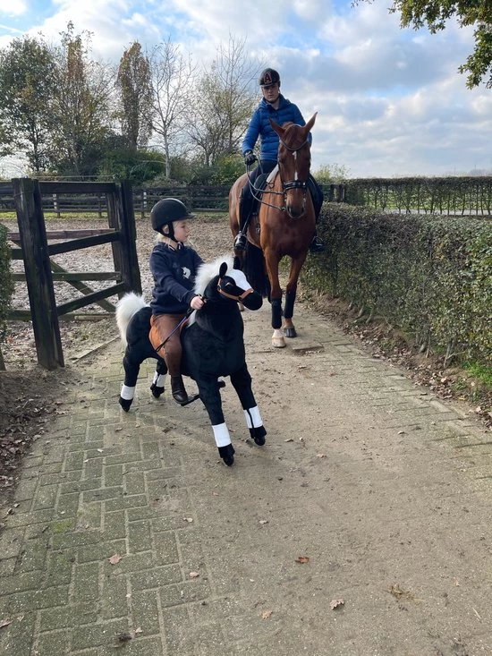 Animal Riding Paard Maharadscha Zwart X-Large - Rijdend Paardenspeelgoed - Paardenspeelgoed - Zadelhoogte 78 CM- Verstelbaar Pedaal 3 Standen - Afneembaar Zadel 5 Animal Riding Paard Maharadscha Zwart X-Large - Rijdend Paardenspeelgoed - Paardenspeelgoed - Zadelhoogte 78 CM- Verstelbaar Pedaal 3 Standen - Afneembaar Zadel - Afbeelding 5